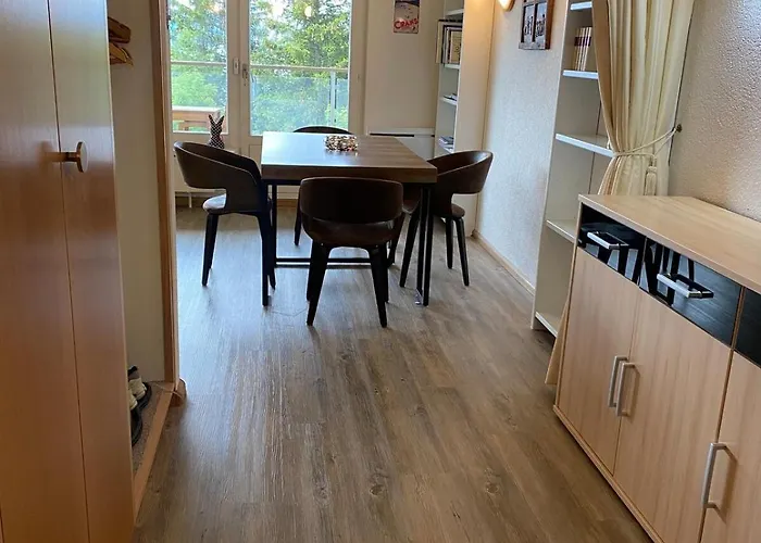 Magnifique Avec Vue Sur Les Sommets Enneiges アパート