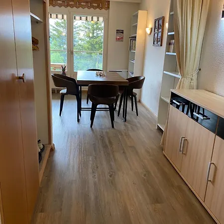 Magnifique Avec Vue Sur Les Sommets Enneiges Apartment